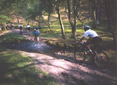 Quantock Hills 1995 &middot; 11 photos