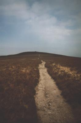 Exmoor 96