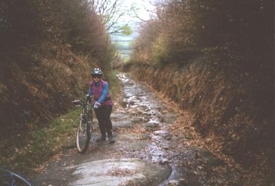 Exmoor 96
