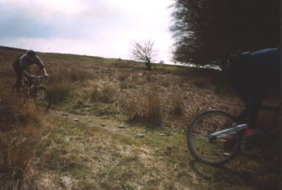 Exmoor 96